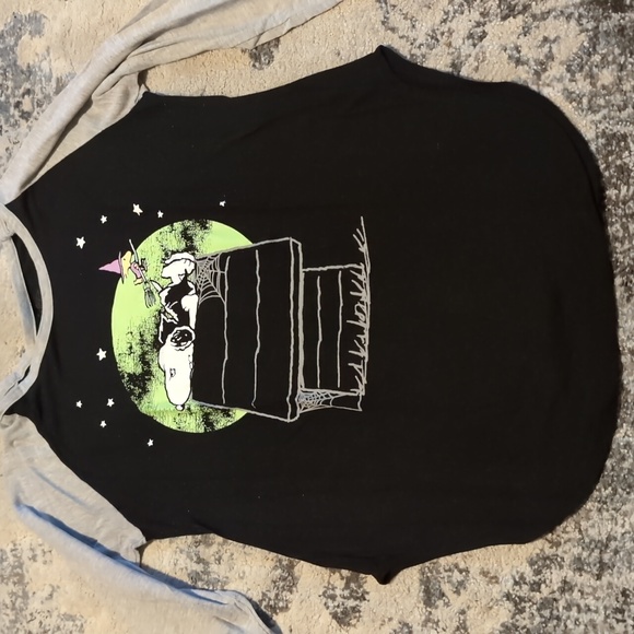 Peanuts Halloween Raglan T-shirt Snoopy Dracula Woodstock Witch Full Moon Large - Picture 1 of 7